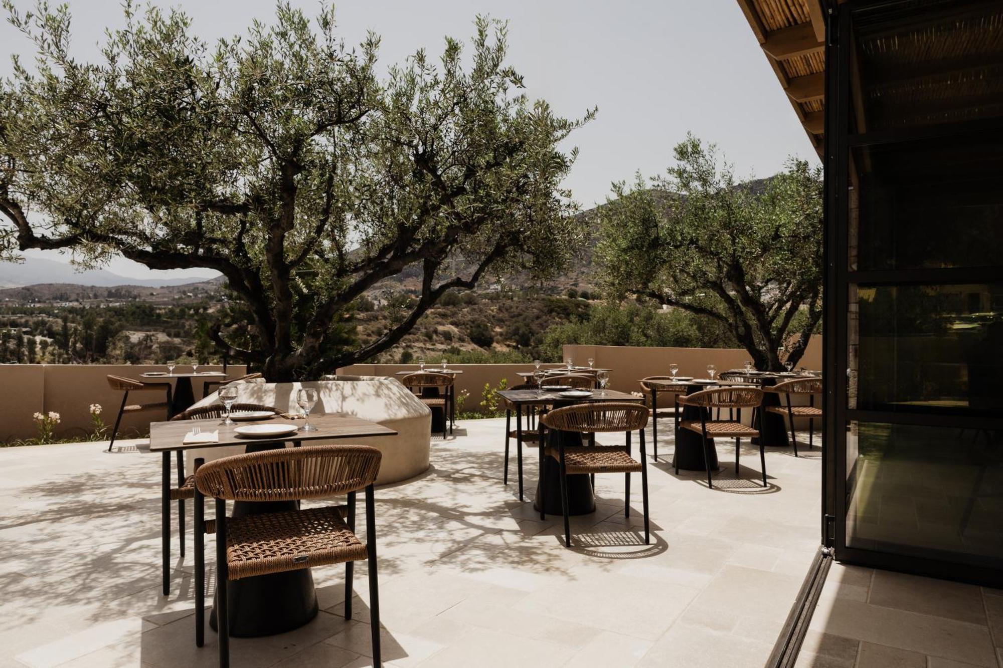 Momi Slow Living Hotel Hersonissos  Ngoại thất bức ảnh